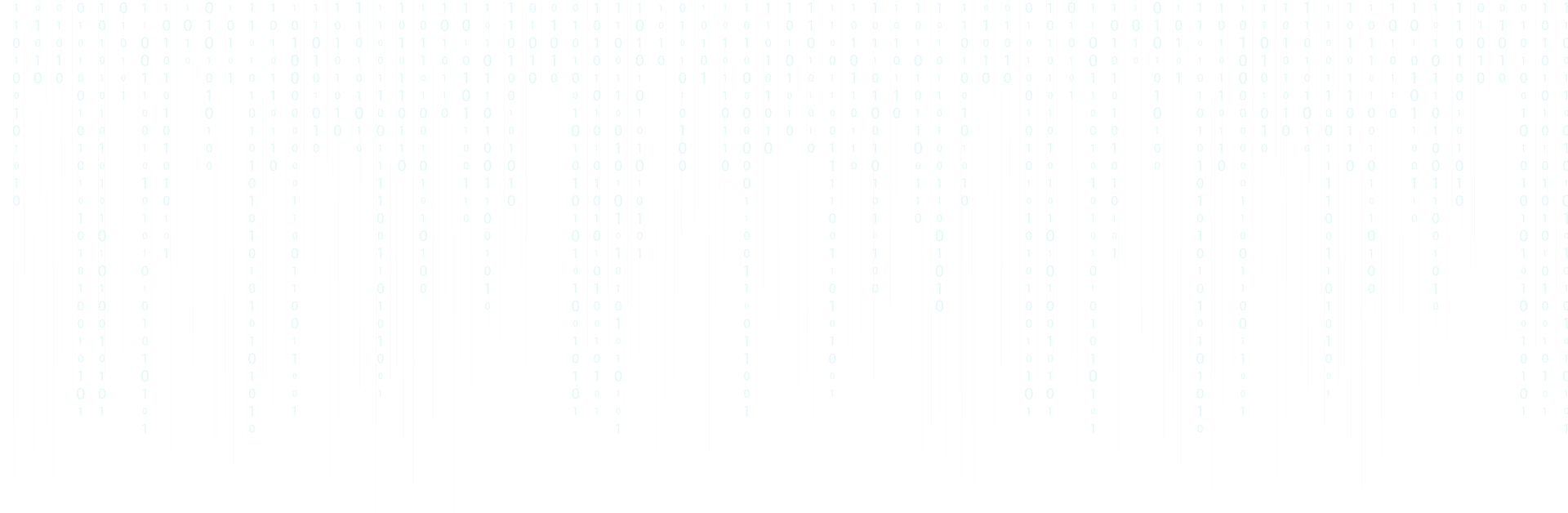 {Consultant} Developer — Web, Apps, Cybersecurity & IT Consulting.